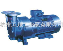 工業泵類與輔助設備綜述 種類、特點及應用